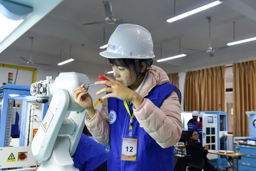 2019年博諾杯工業(yè)機(jī)器人維修調(diào)試與技術(shù)應(yīng)用賽項(xiàng)在我校開(kāi)賽